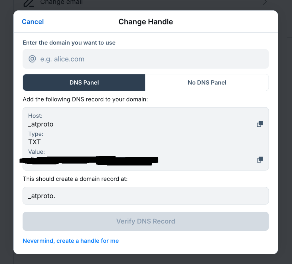 Blueksy's Change Handle dialog, which contains the DNS settings to use.